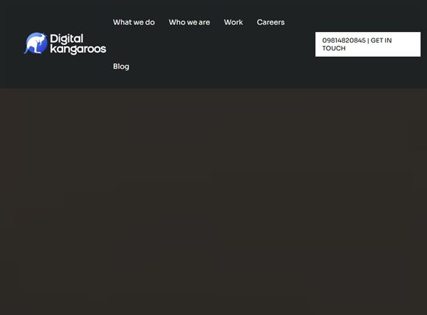 Digital Kangaroos - Web Development And Software Company